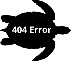 404error